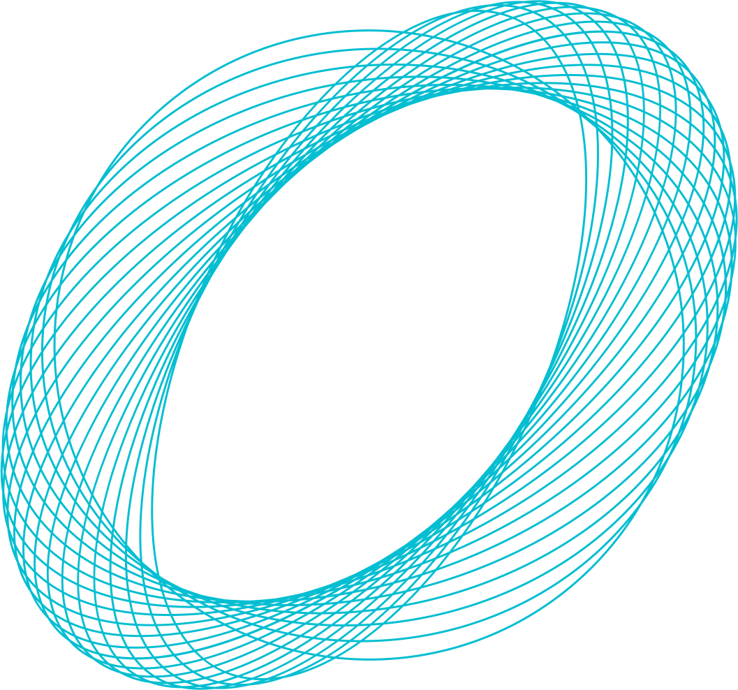 nautilux-site-vector-design